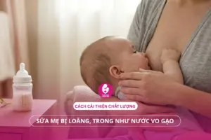 Sữa Mẹ Bị Loãng, Trong Như Nước Vo Gạo: Cách Cải Thiện Chất Lượng