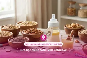 Top 7 loại ngũ cốc lợi sữa tốt nhất 2026 giúp sữa đặc, vàng sánh như váng đậu