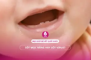Sốt mọc răng hay sốt virus? Mẹo giúp bé hết quấy khóc