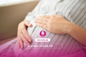 Khi nào sữa mẹ về? Bí quyết kích sữa ướt áo cho mẹ bỉm.