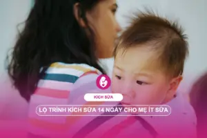 lộ trình kích sữa 14 ngày - Baby Care Center